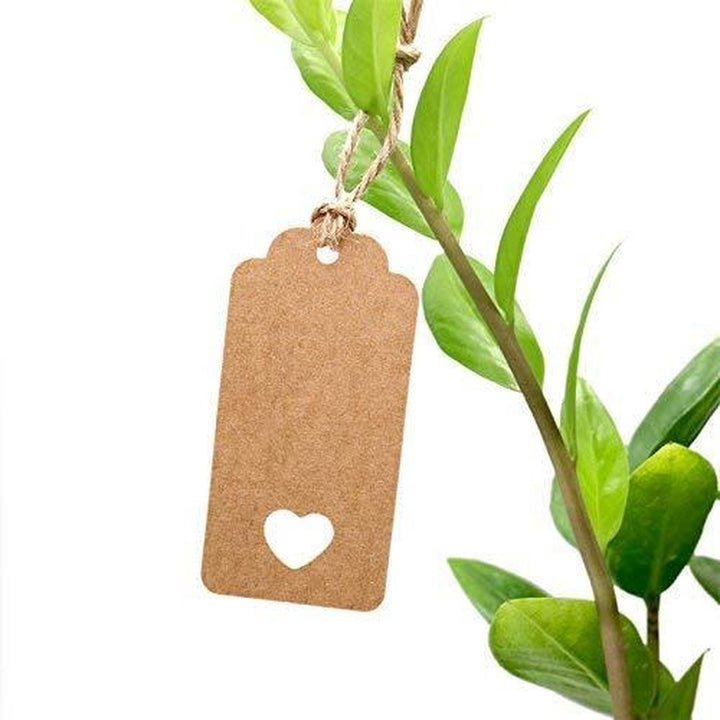  Kraftkartonnen label met hartjesvorm bevestigd aan planttak met jute touw